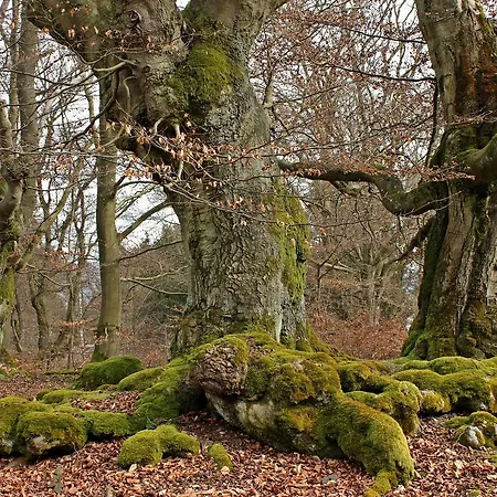 Und Restaurant Zum Schiffchen 3*