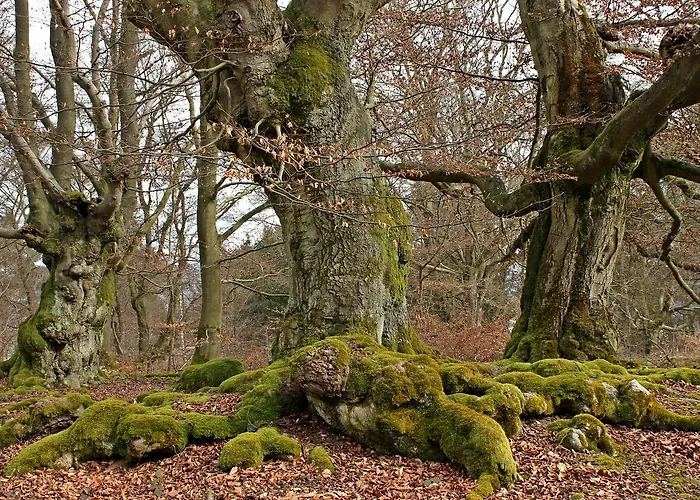 Und Restaurant Zum Schiffchen 3*